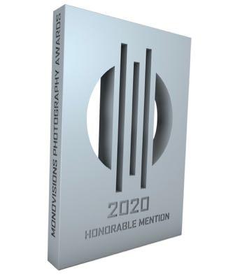 monovisionsawards2020hm