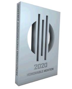 monovisionsawards2020hm1